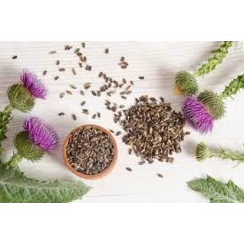Soil Milk Thistle